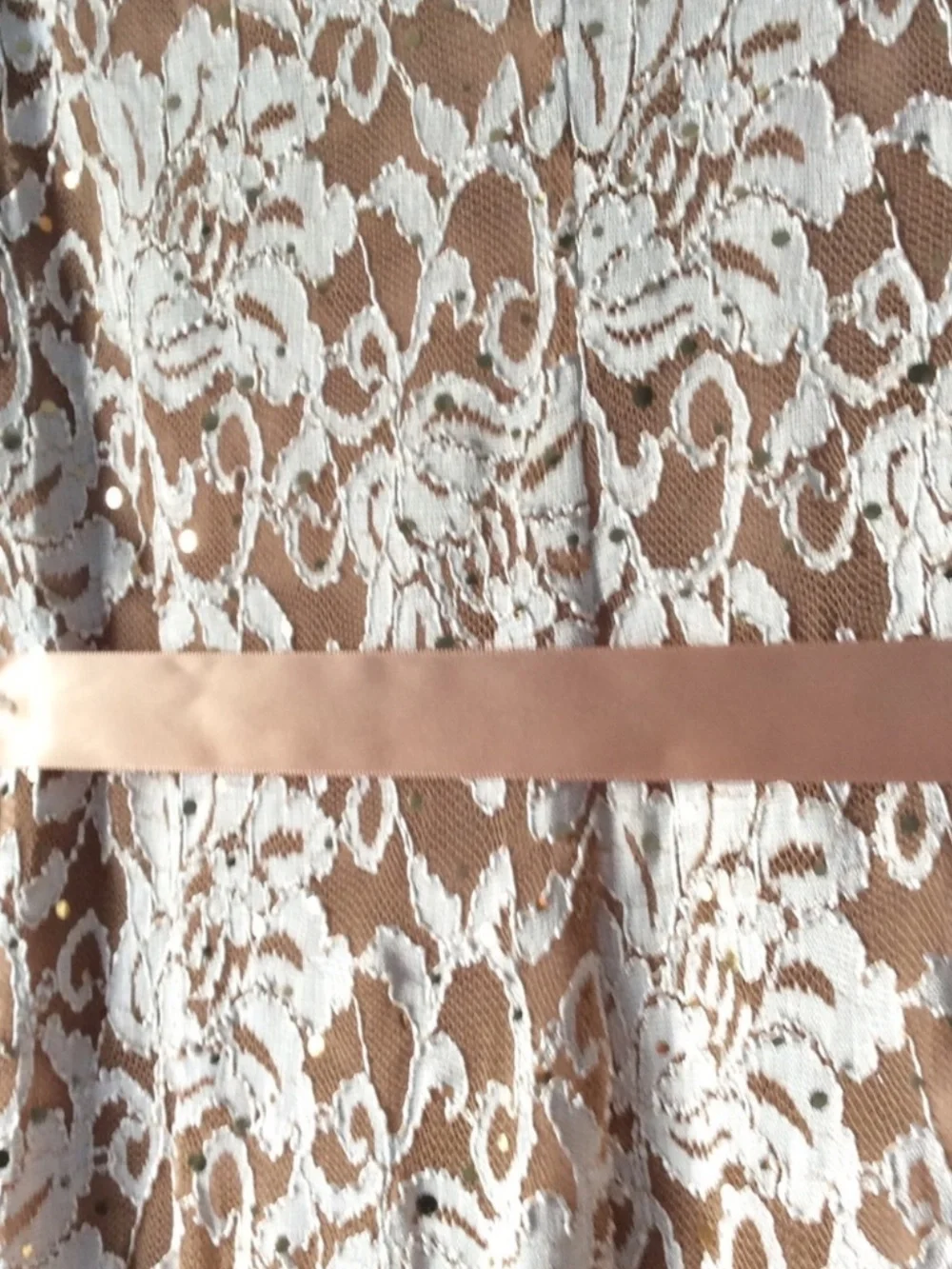 NWT Candalite Lace Evening Gown
